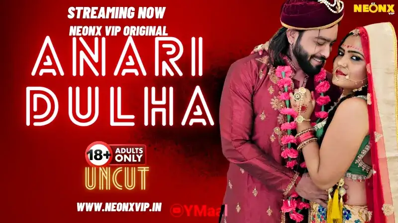 Anari Dulha (NEONX Web Series) » Aagmaal.gold